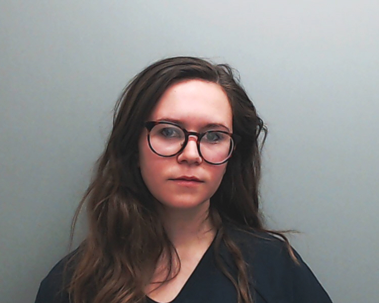 Anderson, Blaine Erin Mugshot | 2018-01-26 Hays County, Texas Arrest