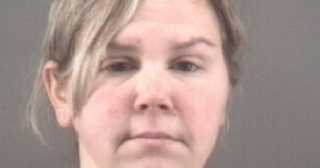 DOLLBAWM, KRISTINA LYNNE | 2018-01-28 13:31:00 Forsyth County, North Carolina Booking