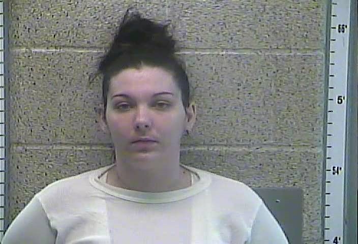 JESSICA LEIGH SUMMERS #, Henderson County, Kentucky - 2018-02-01 19:34:00