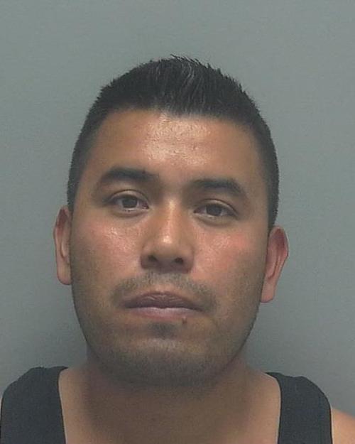 RANGEL-MARTINEZ, SERGIO #, Lee County, Florida - 2018-02-01 23:47:00