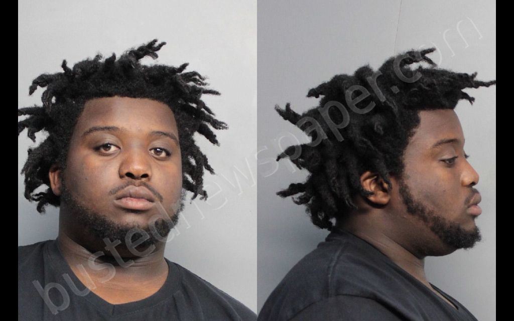 ADAMS, MICHAEL AMARTI #, Miami-Dade County, Florida - 2018-02-01 00:23:00
