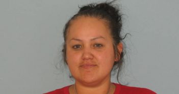 ROBLES, FRANCISCA | 2018-02-02 Andrews County, Texas Booking