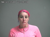 PELTON JENNIFER A | 2018-02-03 Sandusky County, Ohio Booking