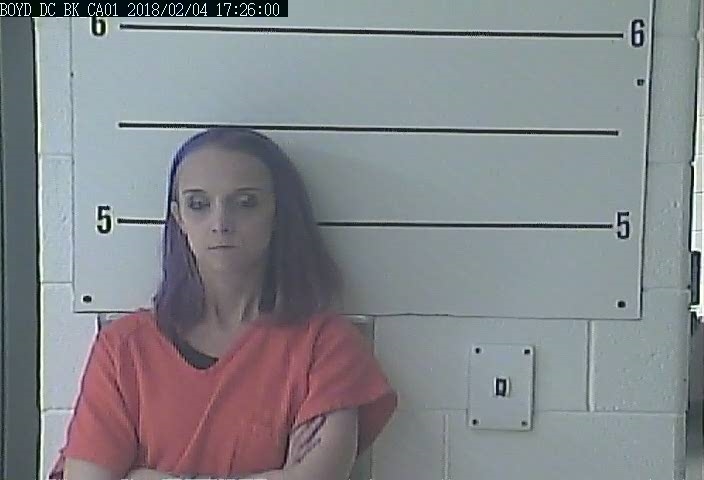 KIMBERLY DANIELLE JOHNSON #, Boyd County, Kentucky - 2018-02-04 16:47:00