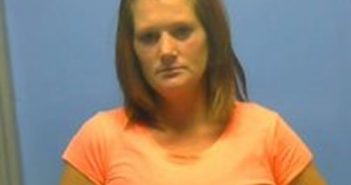 AMY LOUISE STONE | 2018-02-04 16:27:00 Johnson County, Arkansas Booking