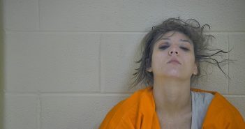 KRYSTAL D. HABERMEHL | 2018-02-05 11:22:00 Taylor County, Kentucky Booking