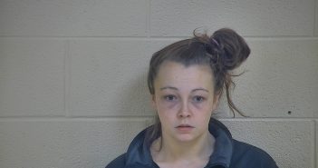 JESSICA M PARSONS | 2018-02-05 23:20:00 Taylor County, Kentucky Booking