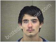 PEREZ, LUIS | 2018-02-09 Harnett County, North Carolina Booking