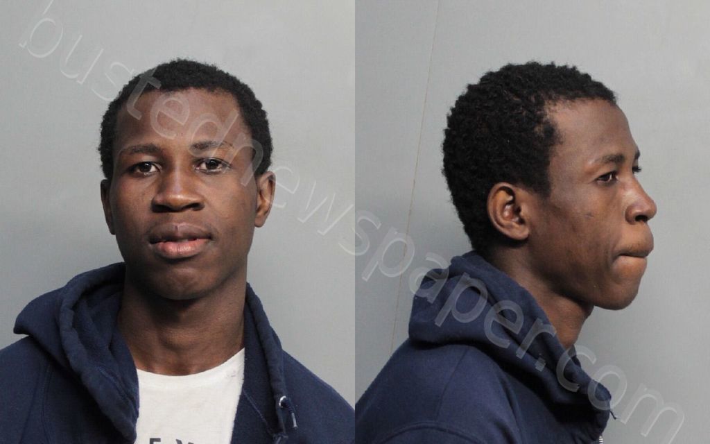 PIERRE, ALLKY #, Miami-Dade County, Florida - 2018-02-12 22:36:00