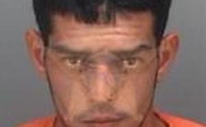COLON, RAFAEL ANTONIO | 2018-02-14 20:00:24 Pinellas County, Florida Booking