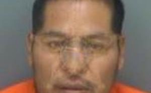 VELASCOHERNANDEZ, LORENZO | 2018-02-14 17:58:37 Pinellas County, Florida Booking