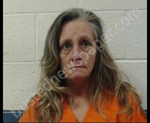 JENKINS, PAMELA SUE #, Mercer County, West Virginia - 2018-02-14 18:30:00