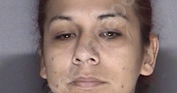 LOPEZ, CHRISTINA GUADALUPE | 2018-02-18 01:40:00 Ellis County, Texas Booking