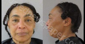 BRUCE, JUILE E | 2018-02-19 11:41:00 Flagler County, Florida Booking