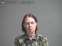 MERVINE SARAH | 2018-02-23 Sandusky County, Ohio Booking