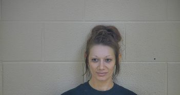 CANDI R. MCKINNEY | 2018-02-23 21:17:00 Taylor County, Kentucky Booking