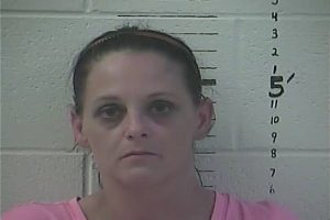 JANETTE MARIE ASPLUND | 2018-02-24 13:29:00 Hancock County, Mississippi Booking