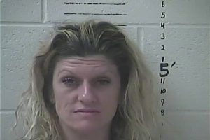 SUSAN ANNETTE JOHNSON | 2018-02-25 05:03:00 Hancock County, Mississippi Booking