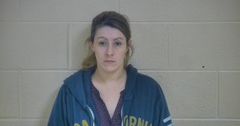 ELIZABETH PAYTON | 2018-03-06 11:41:00 Taylor County, Kentucky Booking