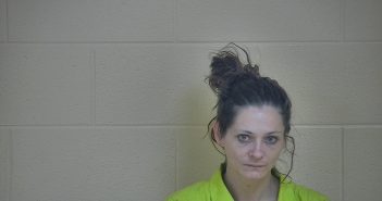 LATASHA POPPLEWELL | 2018-03-08 00:26:00 Taylor County, Kentucky Booking