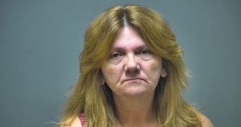 NETTIE JEAN LEE | 2018-03-13 20:57:00 Isabella County, Michigan Booking