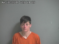 MARTIN AMY M | 2018-03-16 Sandusky County, Ohio Booking
