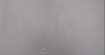 <B>GABRIEL</B> JR <B>PEREZ</B> #, Maricopa County, Arizona - 2018-03-30