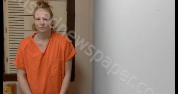 GOSNELL,KIMBERLY ANN | 2018-03-30 Van Zandt County, Texas Booking