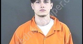 WEBB, WILLIAM NOAH | 2018-04-04 09:30:00 Roanoke County, Virginia Booking