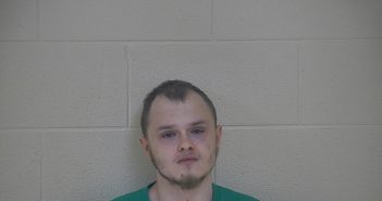 AUSTIN D MINGS | 2018-04-04 10:26:00 Taylor County, Kentucky Booking