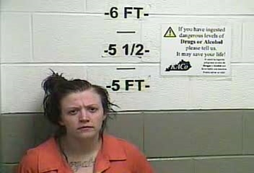 JESSICA M BIRCHFIELD #, Whitley County, Kentucky - 2018-04-10 18:50:00