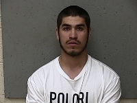 GARZA GABRIAL ALEXANDER | 2018-04-11 Gratiot County, Michigan Booking