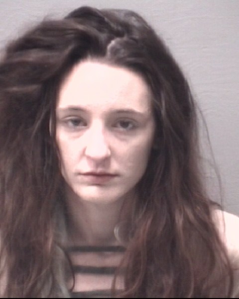 LANCKTON, SOMMER ROSE #, New Hanover County, North Carolina - 2018-04-11