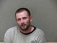 LATHAM TYLER TODD | 2018-04-12 Gratiot County, Michigan Booking
