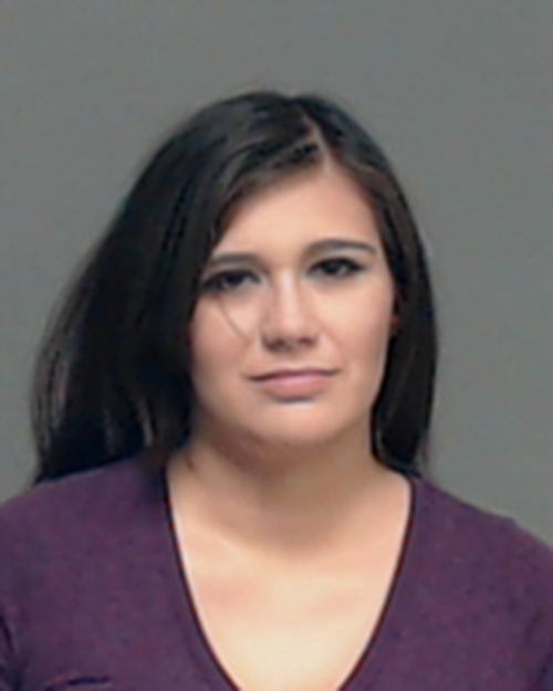 CHELSEY FREEMAN #, Tom Green County, Texas - 2018-04-12 10:05:00