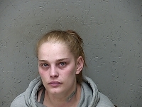 DENNIS ADRIANA NICOLE | 2018-04-13 Gratiot County, Michigan Booking