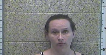 CARRIE L BURTON | 2018-04-14 02:08:00 Henderson County, Kentucky Booking