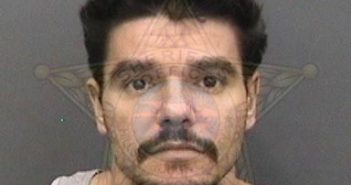 REYES, <B>MICHAEL</B> JOSEPH #, Hillsborough County, Florida - 2018-04-18 11:24:00
