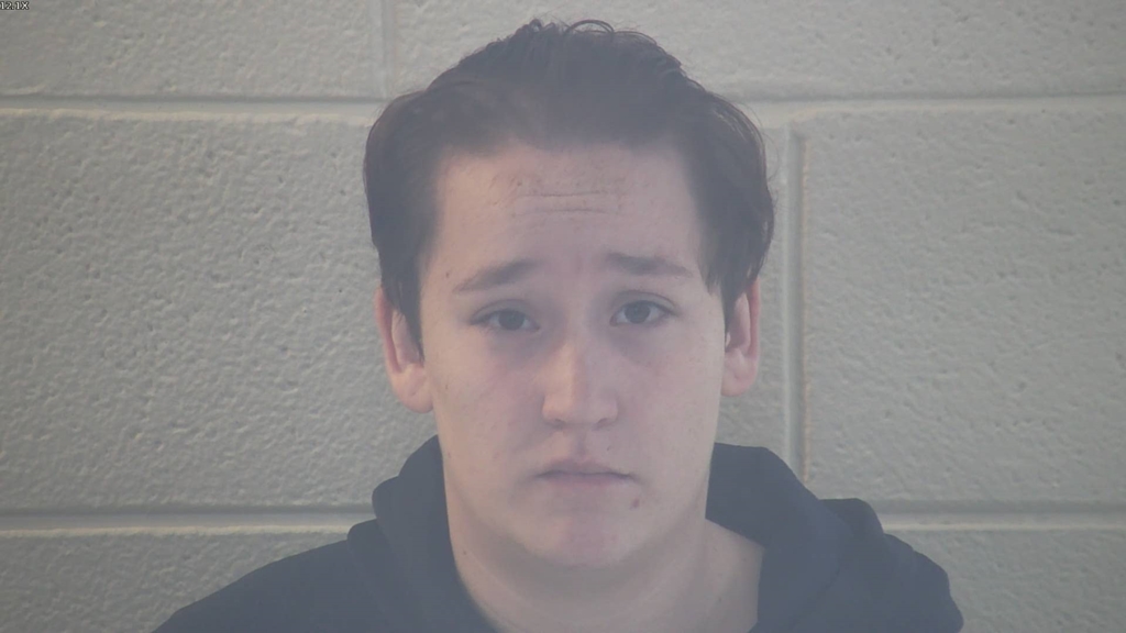 NOLYN DAWN BEATTY- WALLACE #, Pulaski County, Kentucky - 2018-04-20 09:51:00