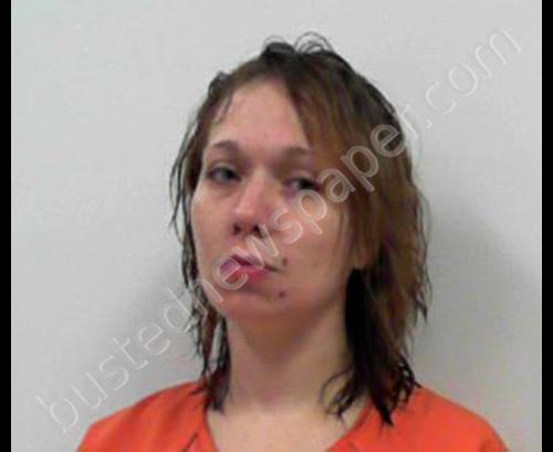 DAVIS, HEATHER NICHOLE #, Braxton County, West Virginia - 2018-04-24 13:25:00