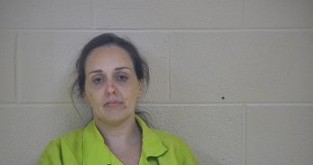 SARAH NICOLE BRIGHT | 2018-04-24 09:47:00 Taylor County, Kentucky Booking