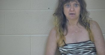 JOYCE ANN BAGBY | 2018-04-24 23:33:00 Taylor County, Kentucky Booking