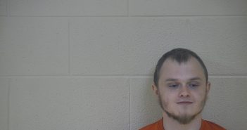 AUSTIN D MINGS | 2018-04-24 20:22:00 Taylor County, Kentucky Booking