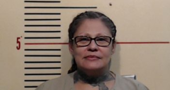 HERNANDEZ-SALIS, PARICIA ANN | 2018-04-25 Parker County, Texas Booking