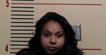 ORTEGA, CRYSTAL DANIELLE | 2018-04-26 Parker County, Texas Booking