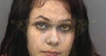 <B>ROLDAN</B>, <B>JAMILEX</B> #, Hillsborough County, Florida - 2018-04-27 03:22:00
