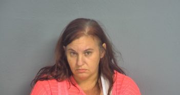 PAULA JEAN SCHREINER | 2018-04-28 00:48:00 Greene County, Missouri Booking