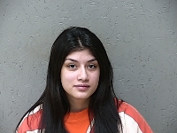 TAPIA ELDA CASSANDRA | 2018-04-30 Gratiot County, Michigan Booking