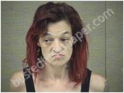 RAYNOR, TINA | 2018-05-08 Harnett County, North Carolina Booking