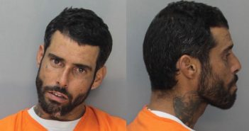 PAGAN, ALEXIS | 2018-05-14 00:37:00 Miami-Dade County, Florida Booking